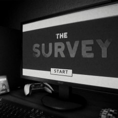 THE SURVEY